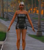 Mannequin Dress For MP Female for Grand Theft Auto V