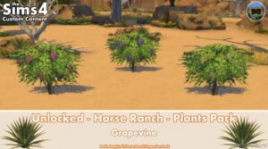 Sims 4 Object Mod: Unlocked – Horse Ranch – Plants Pack (Image #7)