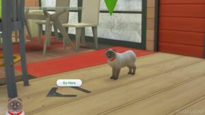 Sims 4 Mod: Country Wooden Plank For Keeping Horses Waiting (Image #2)