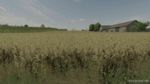 FS22 Textures Mod: OAT Texture (Image #2)