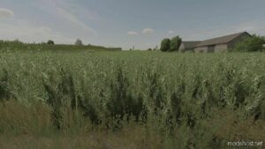 FS22 Textures Mod: OAT Texture (Image #3)