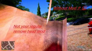 Hide Head in First Person Overlay (NOT Your Regular Remove Head MOD) for Grand Theft Auto V