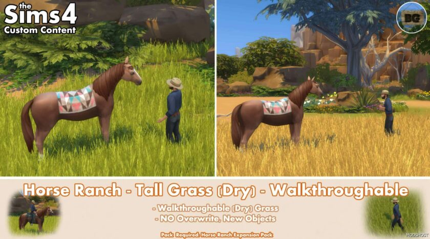 Horse Ranch / Tall Grass (DRY) / Walkthrough-able for Sims 4