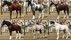 RDR2 Mod: NEW Miscellaneous Horse Coats (Image #2)