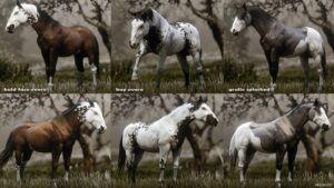 RDR2 Mod: NEW Miscellaneous Horse Coats (Image #4)