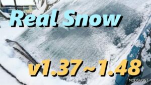Real Snow V2.2 [1.48] for Euro Truck Simulator 2