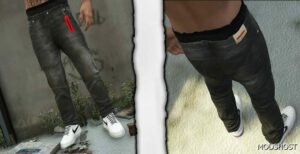 Dsquared2 Jeans SET for MP Male X for Grand Theft Auto V