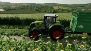 FS22 Map Mod: Maypole Farm V1.5 (Image #5)