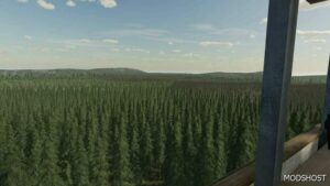 FS22 Map Mod: The Rainy Woods (Image #4)