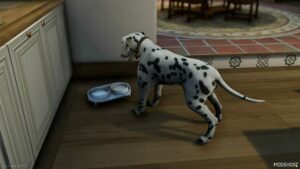 GTA 5 Player Mod: Dalmatian PED Add-On / Replace (Image #5)