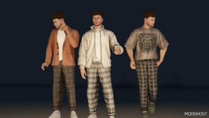 GTA 5 Plaid Pants for MP Male mod