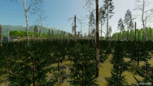 FS22 Map Mod: Beaver Hollow V1.0.1.1 (Image #10)