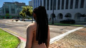 GTA 5 Player Mod: Braids Hair for MP Female (Image #2)