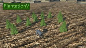 GTA 5 Script Mod: PlantationV – Plant and Sell Drugs .NET (Image #3)