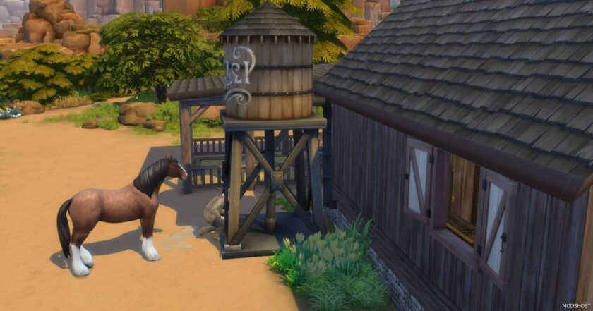 Sims 4 Farwest Water Tower mod