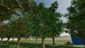 FS22 Placeable Mod: Orchards Fruits (Image #2)