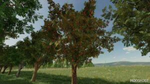 FS22 Placeable Mod: Orchards Fruits (Image #3)