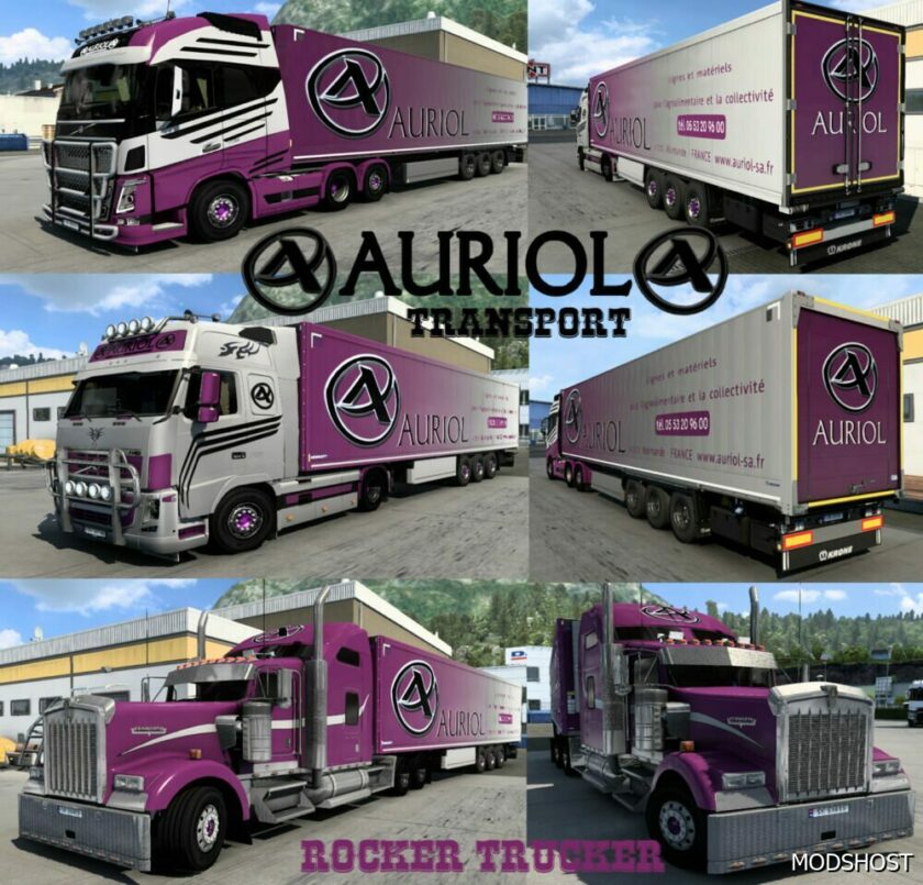ETS2 Auriol Transport Skin Pack mod