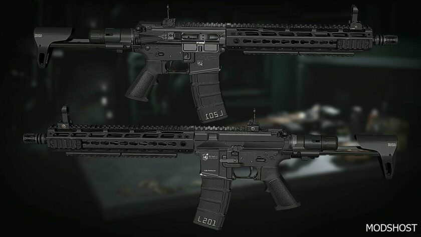 GTA 5 AR-15 Custom Animated V1.1 mod