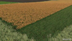 FS22 NEW Sorghum Texture Ready for Harvest mod