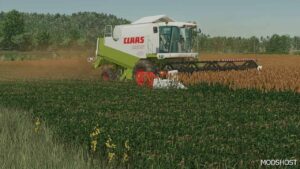 FS22 Textures Mod: NEW Sorghum Texture Ready for Harvest (Image #3)