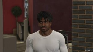 GTA 5 Player Mod: Franklin | Custom Online Dreads V1.1 (Image #3)