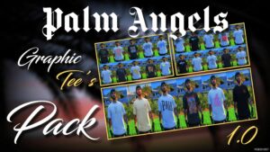 GTA 5 Palm Angels Graphic Tee’s Pack for MP Males mod