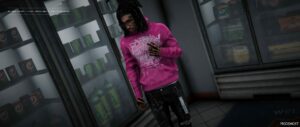 GTA 5 Spider Hoodies for MP Male mod