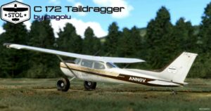 MSFS 2020 Cessna Aircraft Mod: 172 Tail Dragger Plane V2.5.2 (Image #5)