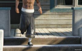 GTA 5 Player Mod: PRO Club Shorts for MP Male V Beta (Image #3)