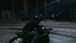 GTA 5 Player Mod: Roof Boxer V8 Helmet for MP Male (Image #4)