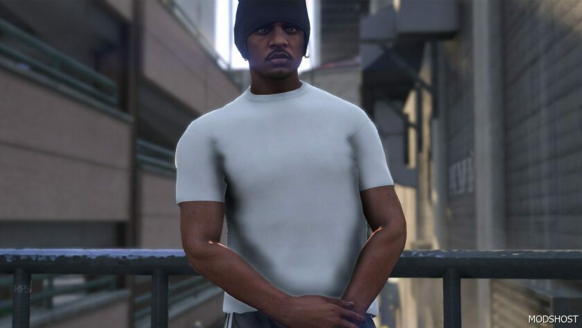 GTA 5 Cropped Boxy-Fitting T-Shirt MP Male mod