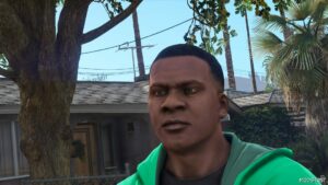 GTA 5 Player Mod: Franklin Hair FIX (Image #3)