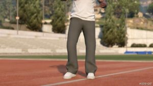 GTA 5 Player Mod: Flared Sweatpants MP Male (Image #4)