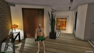 GTA 5 Player Mod: Conor McGregor (Image #2)