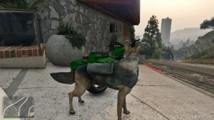 GTA 5 Player Mod: German Shepherd (K9) (Image #2)