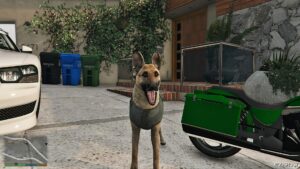 GTA 5 Player Mod: German Shepherd (K9) (Image #4)