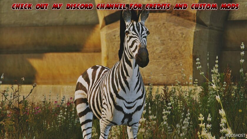 GTA 5 Zebra mod