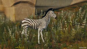 GTA 5 Player Mod: Zebra (Image #3)