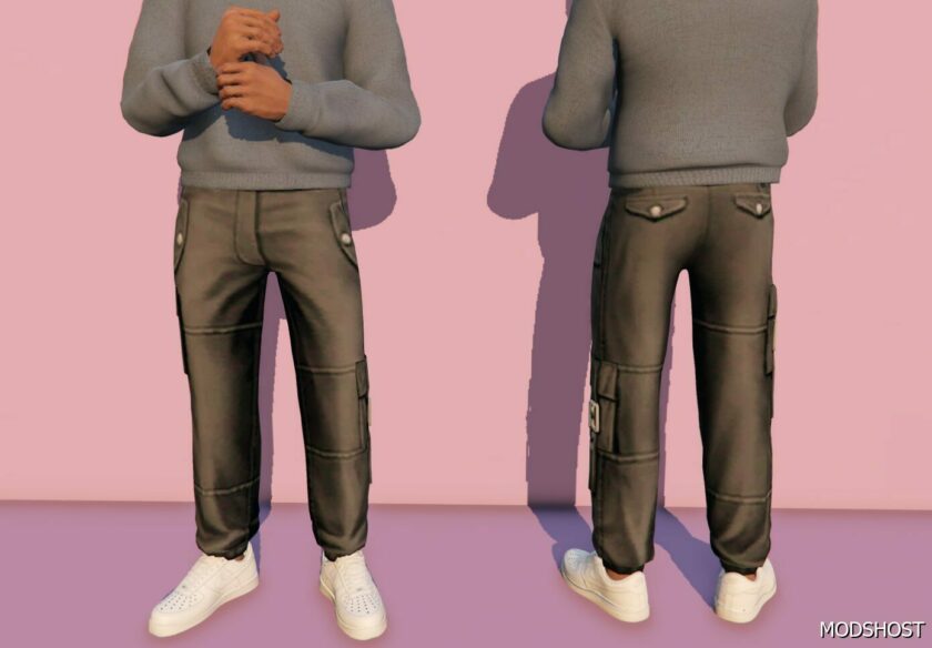 GTA 5 Cargo Pants for MP Male mod