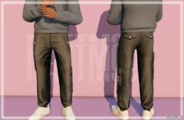 GTA 5 Player Mod: Cargo Pants for MP Male (Image #2)