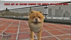 GTA 5 Chow Chow mod