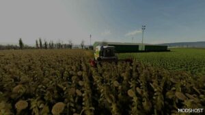 FS22 Mod: Petrovani Map V1.2.1 (Image #6)