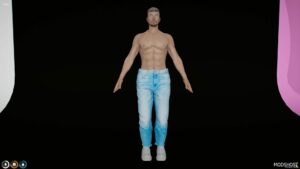 GTA 5 Male Jeans for Mp-Male mod