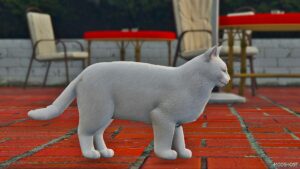 GTA 5 Player Mod: White Maine Coon CAT (Replace) (Image #3)