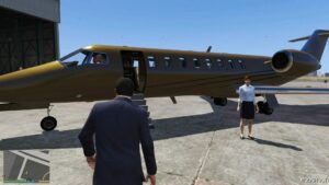 GTA 5 Script Mod: Private Flight Service (Private JET as Passenger) (Image #3)