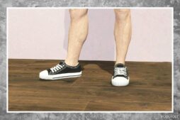 GTA 5 Female Fake Converse Shoes to Male mod