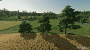 FS22 Placeable Mod: ALL Deco Trees (Image #3)