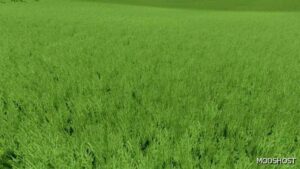 FS22 Textures Mod: Grass Texture with Alfalfa (Image #3)