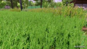 FS22 Textures Mod: Grass Texture with Alfalfa (Image #4)